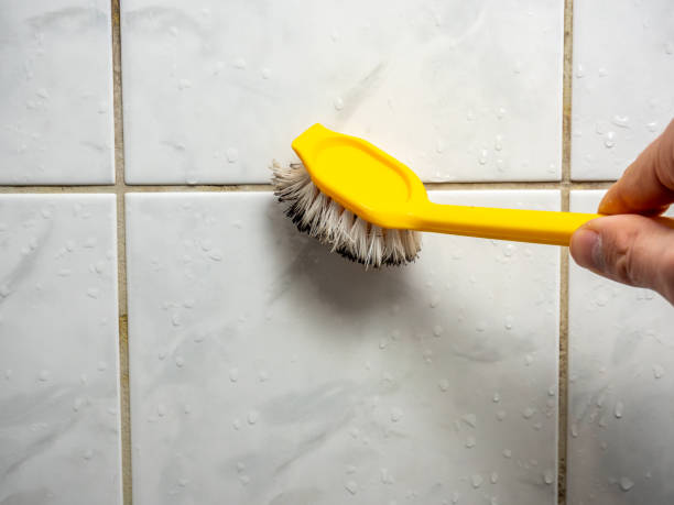 Best Mold Testing  in Rochester, WA