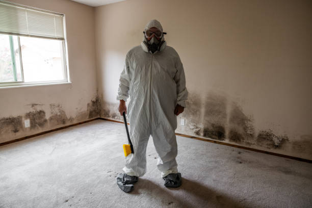 Best Residential Mold Removal  in Rochester, WA